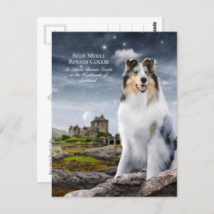 Blue Merle Rough Collie at Eilean Donan Castle - Postcard