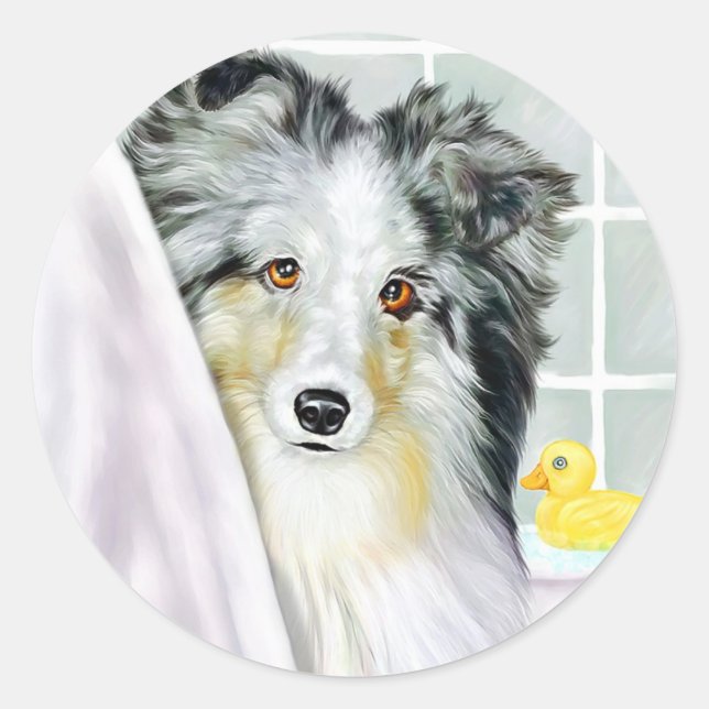 Blue Merle Sheltie Bath Classic Round Sticker (Front)