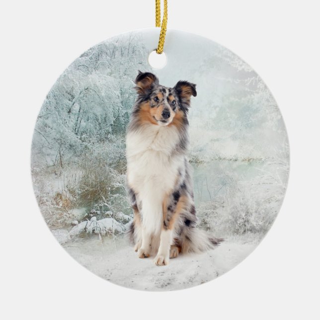 Blue Merle Sheltie Christmas Ornament (Front)
