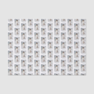 Blue Merle Sheltie Christmas Tissue Paper
