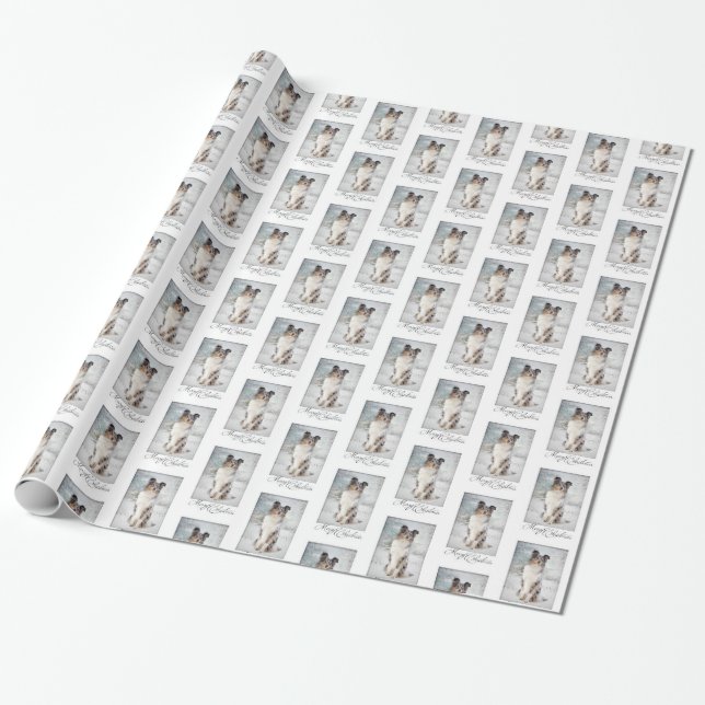 Blue Merle Sheltie Christmas Wrapping Paper (Unrolled)