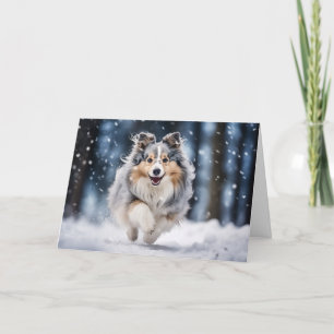 Blue Merle Sheltie Holiday