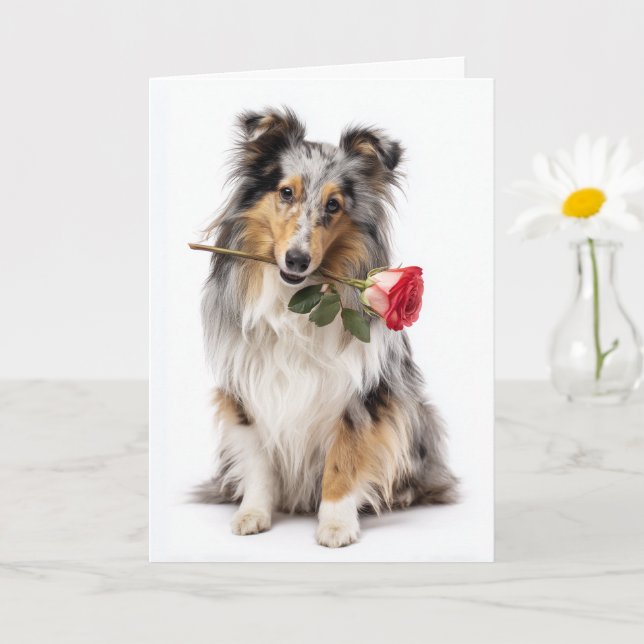 Blue Merle Sheltie Valentine – Gentle Devotion Card (Small Plant)