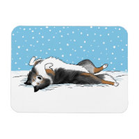 Blue Merle Shetland Sheepdog Sheltie Winter Snow