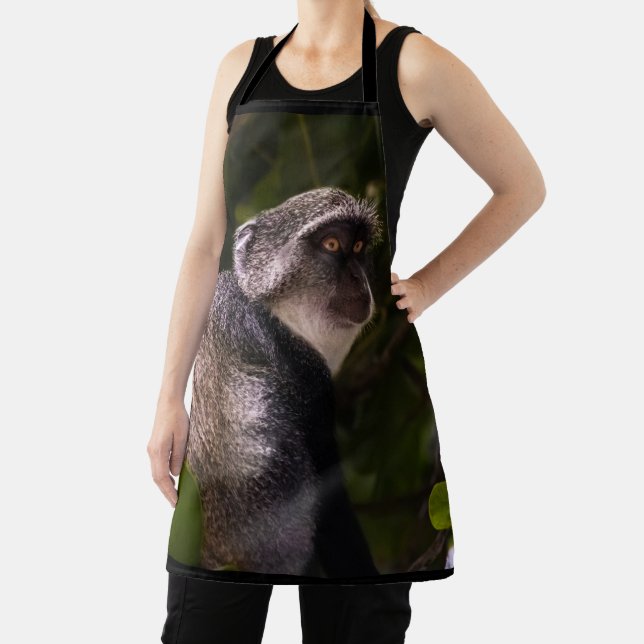 Blue monkey, Zanzibar Apron (Insitu)