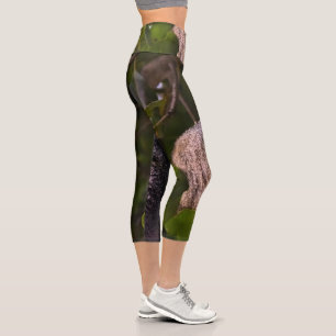 Blue monkey, Zanzibar Capri Leggings