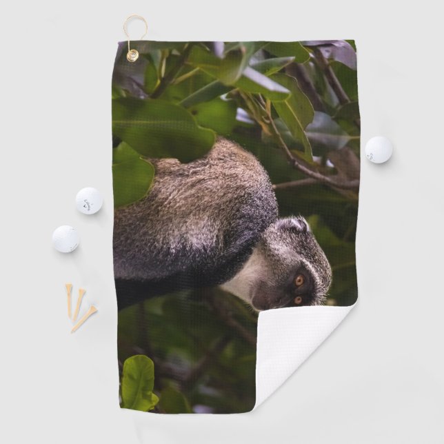 Blue monkey, Zanzibar Golf Towel (InSitu)