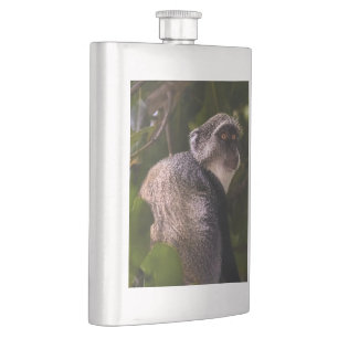 Blue monkey, Zanzibar Hip Flask
