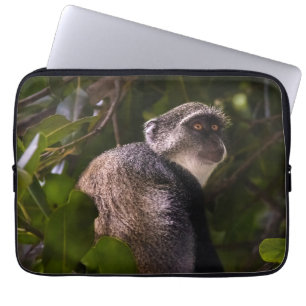 Blue monkey, Zanzibar Laptop Sleeve