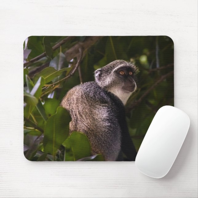 Blue monkey, Zanzibar Mouse Pad (With Mouse)