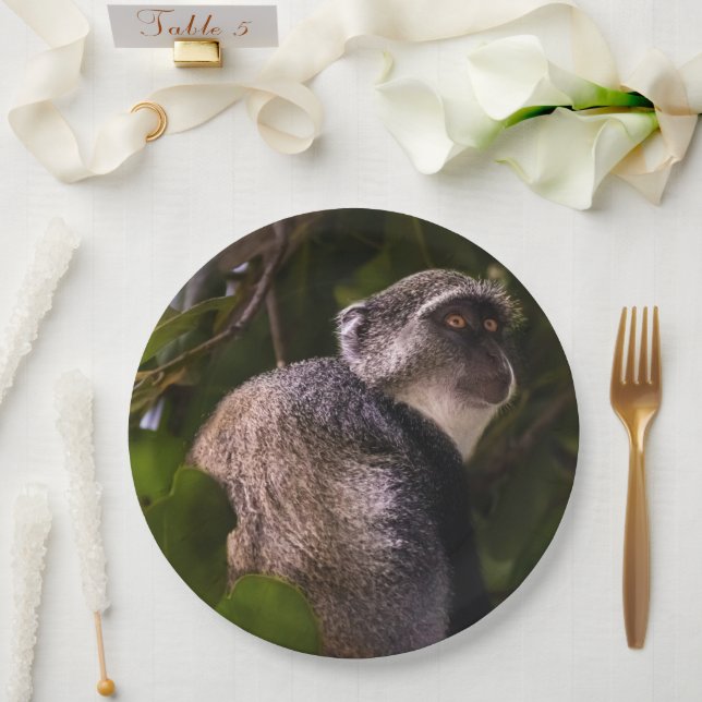 Blue monkey, Zanzibar Paper Plate (Wedding)
