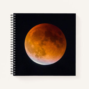 Blue Moon Lunar Eclipse   Washington State Notebook
