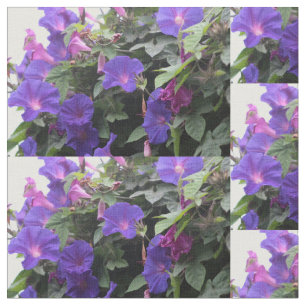blue morning glories, glories, morning glories, cl fabric