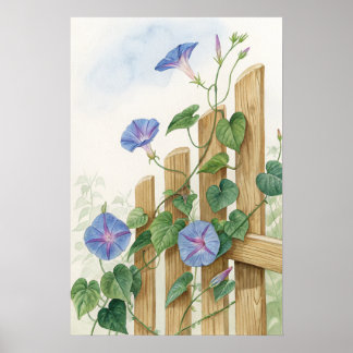 Blue Morning Glory Fence Print | Garden Botanical