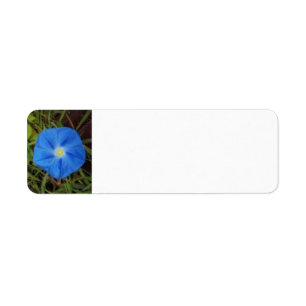 Blue Morning Glory Flower Label Return Address Label