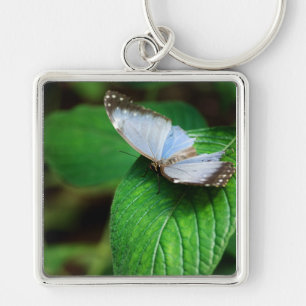 Blue Morpho 112 Keychain