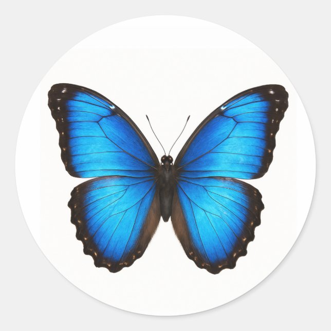 Blue Morpho Brilliance Classic Round Sticker (Front)