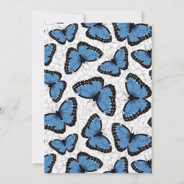 Blue morpho butterflies (Front)