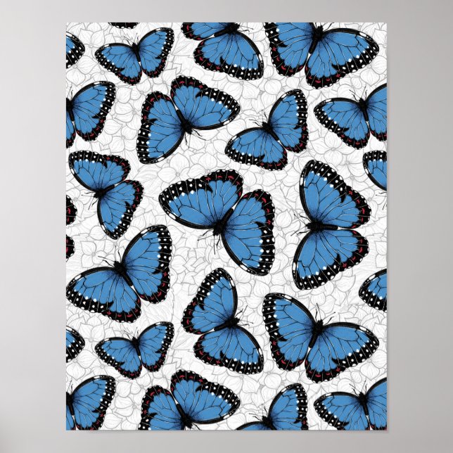 Blue morpho butterflies poster (Front)