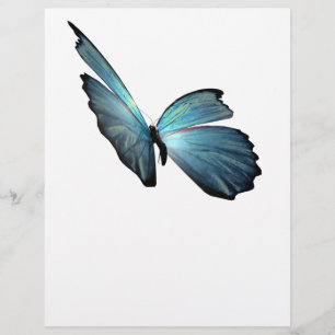 Blue Morpho Butterfly