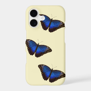 Blue Morpho Butterfly