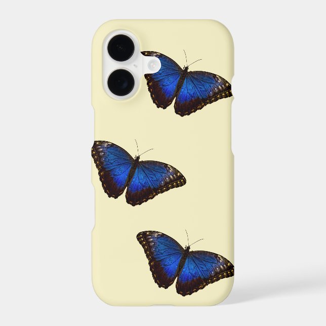 Blue Morpho Butterfly (Back)