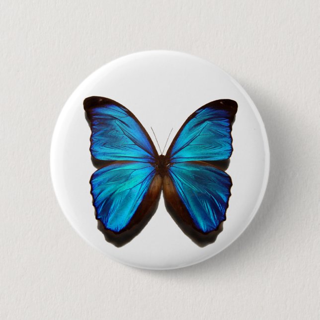 Blue Morpho Butterfly 6 Cm Round Badge (Front)