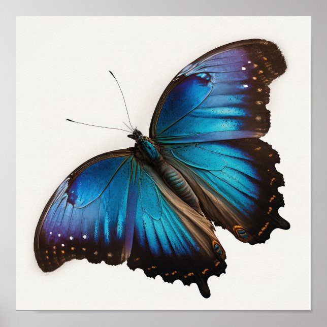 Blue Morpho Butterfly Art Print Poster (Front)