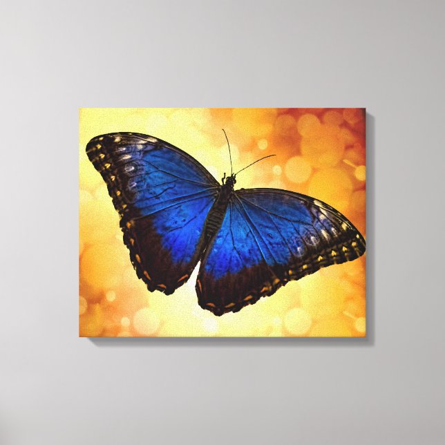 Blue Morpho Butterfly Canvas Print (Front)