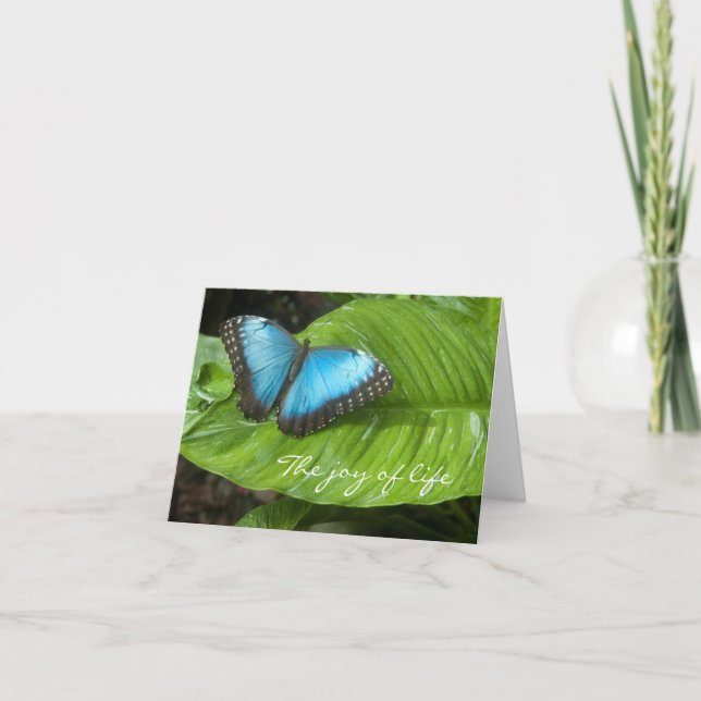 Blue Morpho Butterfly Card (Front)