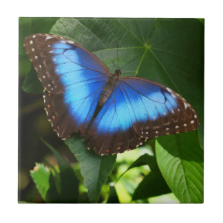 Blue Morpho Butterfly Ceramic Tile