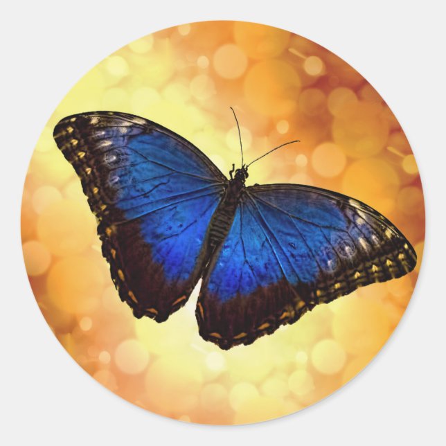 Blue Morpho Butterfly Classic Round Sticker (Front)