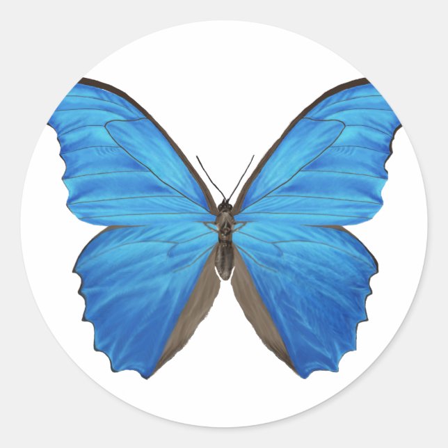 Blue Morpho Butterfly Classic Round Sticker (Front)