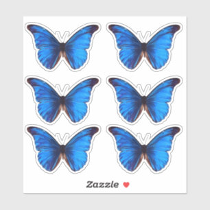 Blue Morpho Butterfly   Custom Cut Vinyl