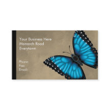 Blue Morpho Butterfly Dorsal and Ventral