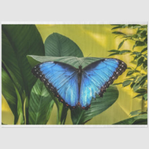 Blue Morpho Butterfly Floral Nature Art Tissue Paper