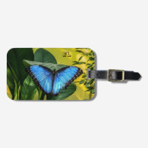 Blue Morpho Butterfly Floral Nature Name