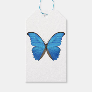 Blue Morpho Butterfly Gift Tags