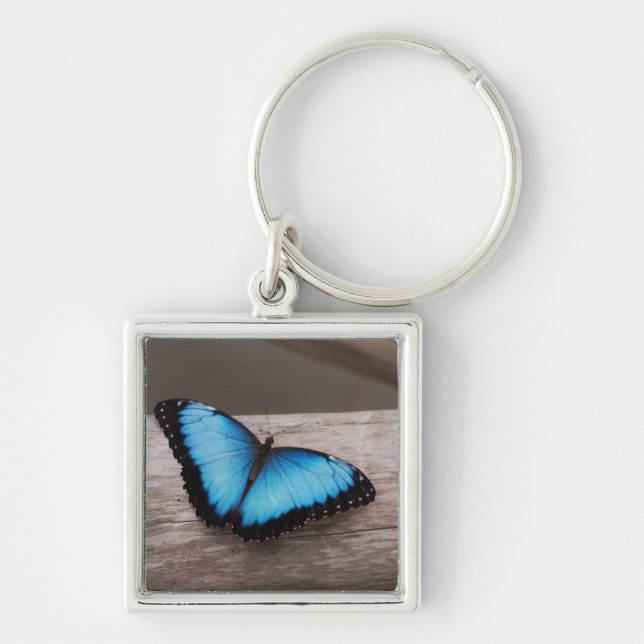 Blue Morpho Butterfly Key Ring (Front)