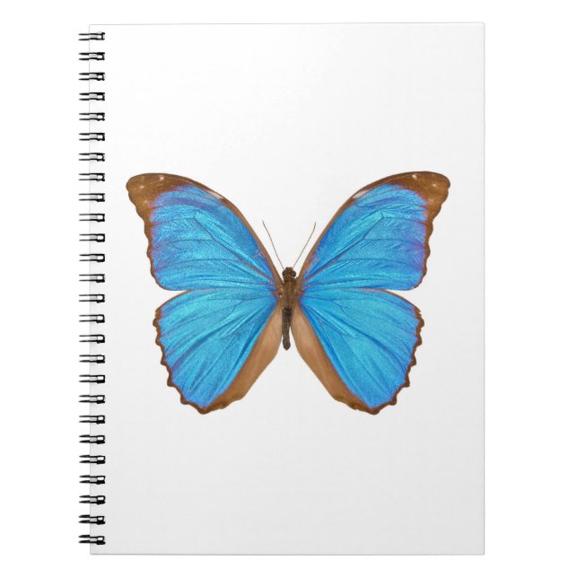 Blue Morpho Butterfly (Menelaus Blue Morpho, Morph Notebook (Front)