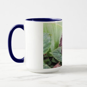 Blue morpho butterfly mug