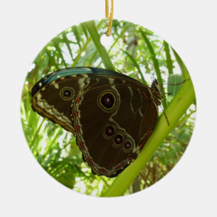 Blue Morpho Butterfly Nature Photography Ceramic Tree Decoration