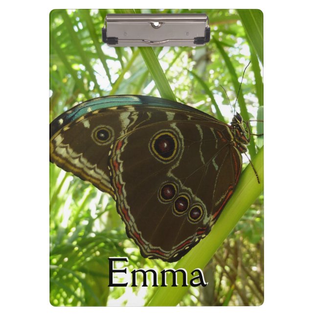 Blue Morpho Butterfly Nature Photography Clipboard (Front)
