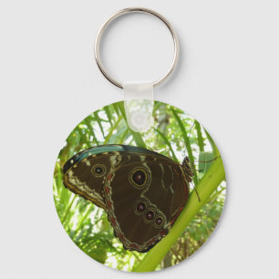 Blue Morpho Butterfly Nature Photography Key Ring