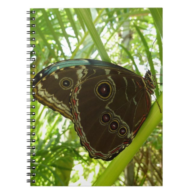 Blue Morpho Butterfly Nature Photography Notebook (Front)