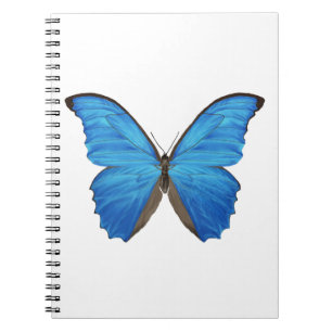 Blue Morpho Butterfly Notebook