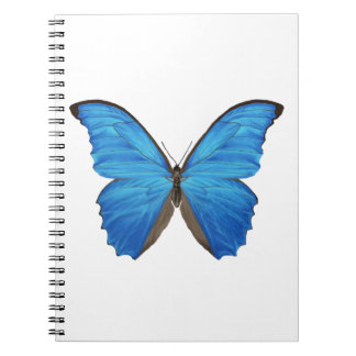 Blue Morpho Butterfly Notebook