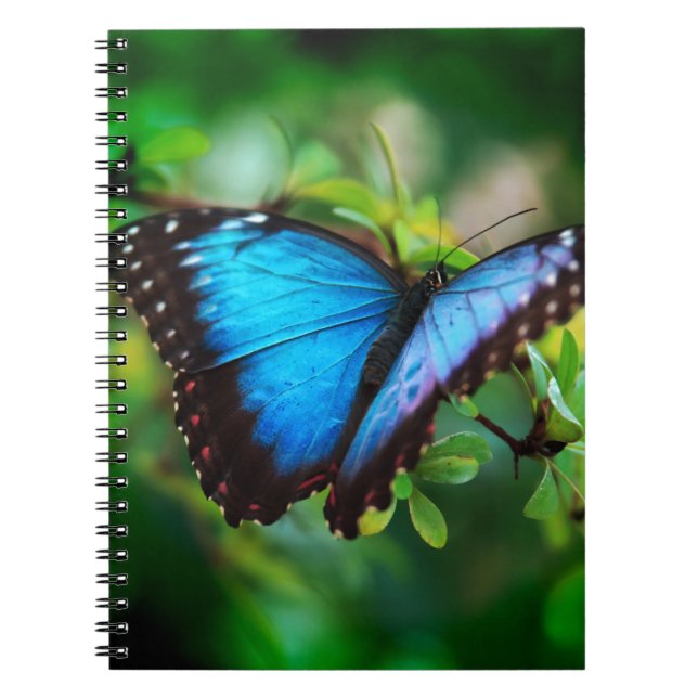 Blue Morpho Butterfly Notebook (Front)