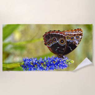 Blue morpho butterfly on a marsh orchid beach towel