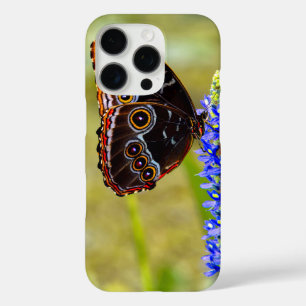 Blue morpho butterfly on a marsh orchid iPhone 16 pro case